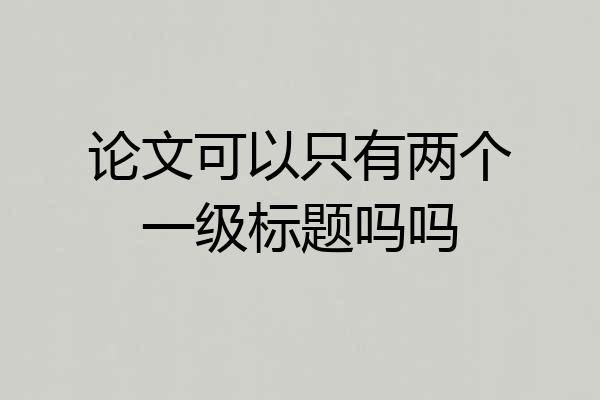 论文可以只有两个一级标题吗吗