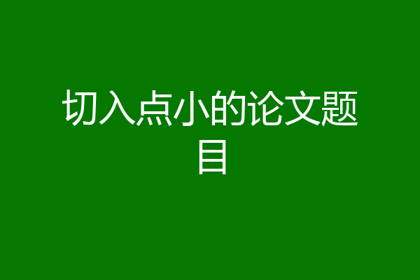 切入点小的论文题目