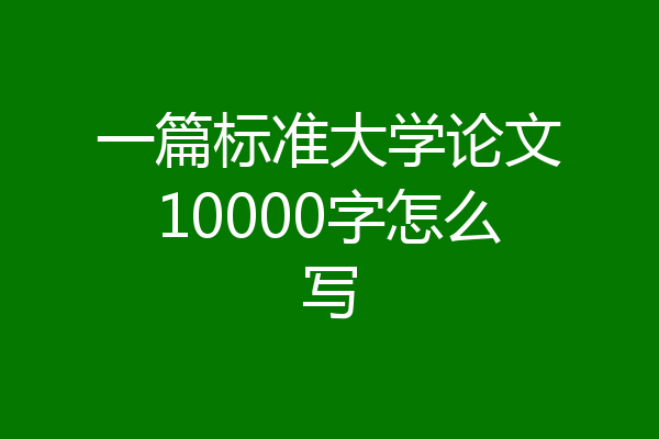 一篇标准大学论文10000字怎么写