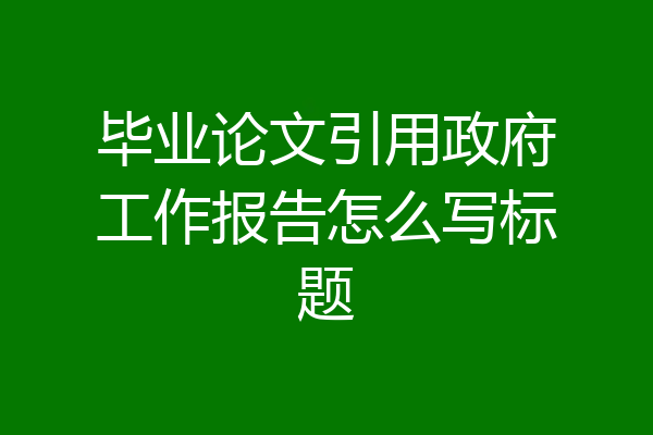 毕业论文引用政府工作报告怎么写标题