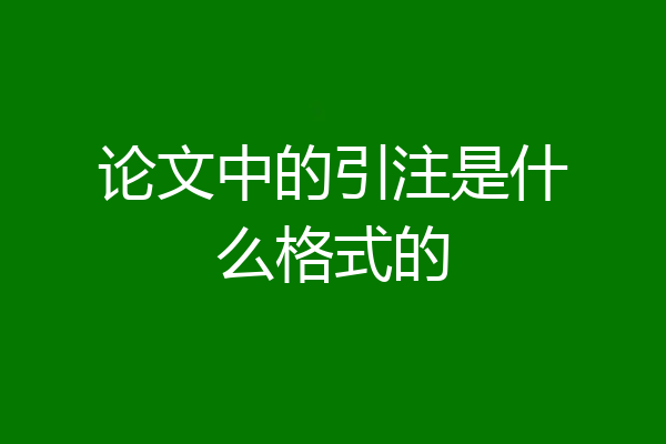 论文中的引注是什么格式的