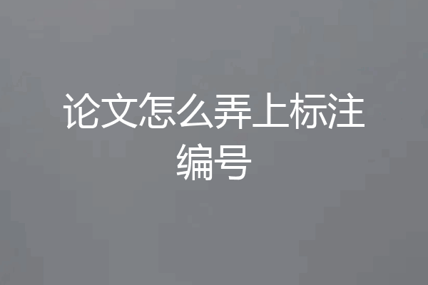 论文怎么弄上标注编号