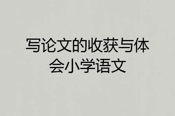 写论文的收获与体会小学语文