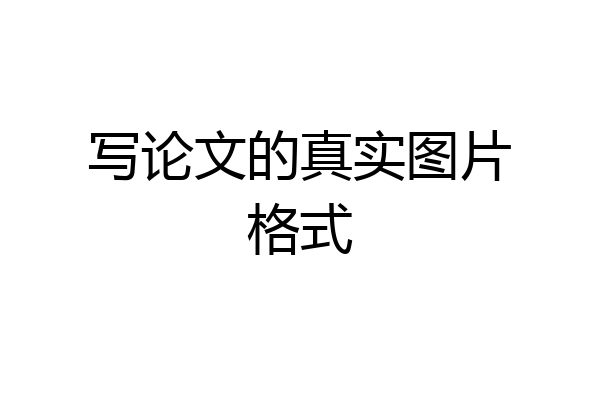 写论文的真实图片格式