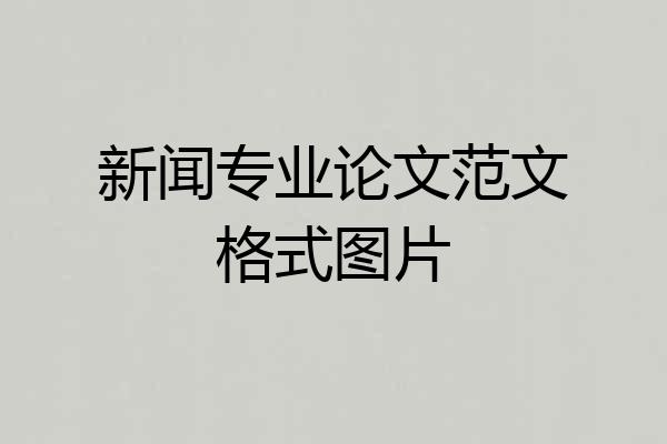 新闻专业论文范文格式图片