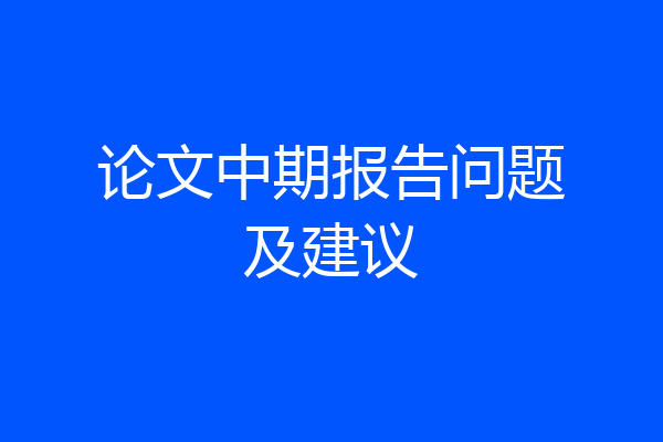 论文中期报告问题及建议