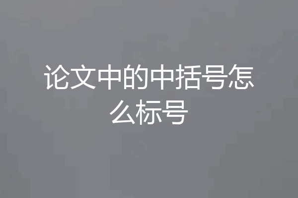 论文中的中括号怎么标号