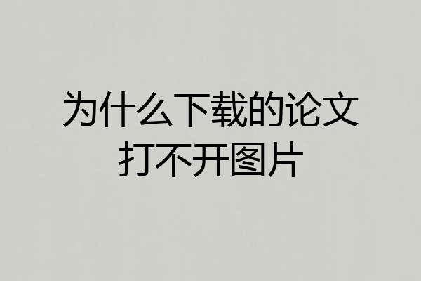 为什么下载的论文打不开图片