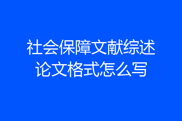 社会保障文献综述论文格式怎么写