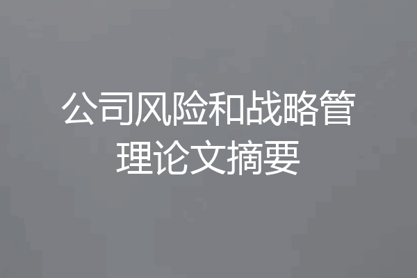 公司风险和战略管理论文摘要