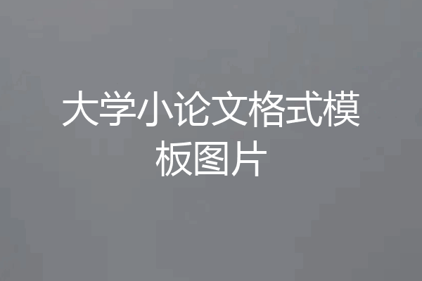 大学小论文格式模板图片