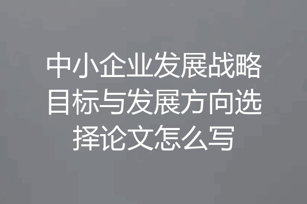 中小企业发展战略目标与发展方向选择论文怎么写