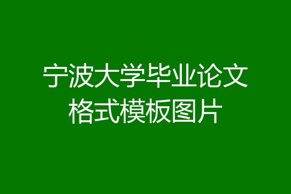 宁波大学毕业论文格式模板图片