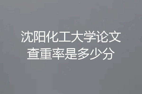 沈阳化工大学论文查重率是多少分