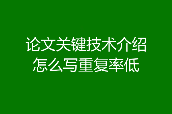 论文关键技术介绍怎么写重复率低