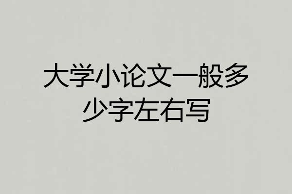 大学小论文一般多少字左右写