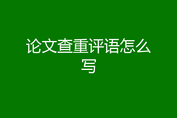 论文查重评语怎么写