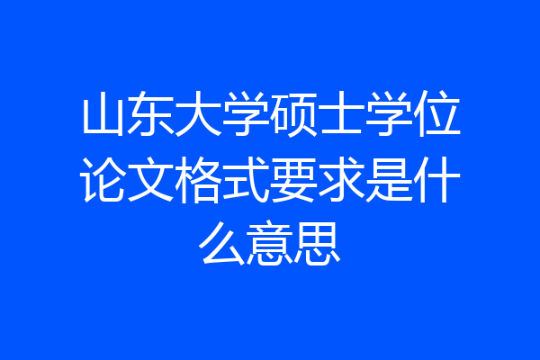 山东大学硕士学位论文格式要求是什么意思