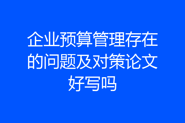 企业预算管理存在的问题及对策论文好写吗