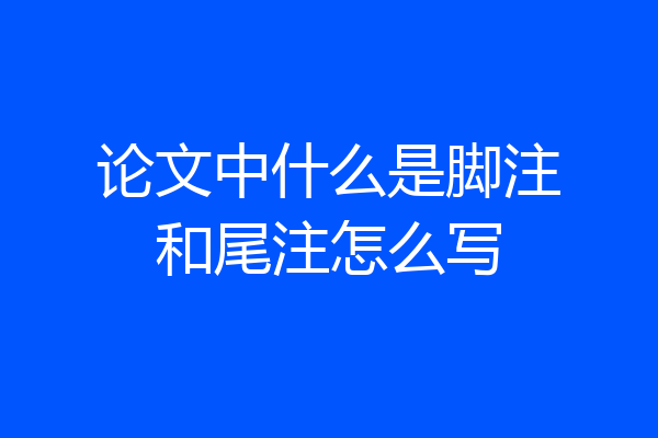 论文中什么是脚注和尾注怎么写