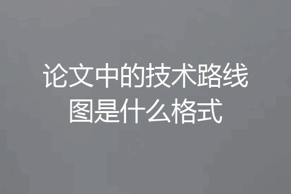 论文中的技术路线图是什么格式