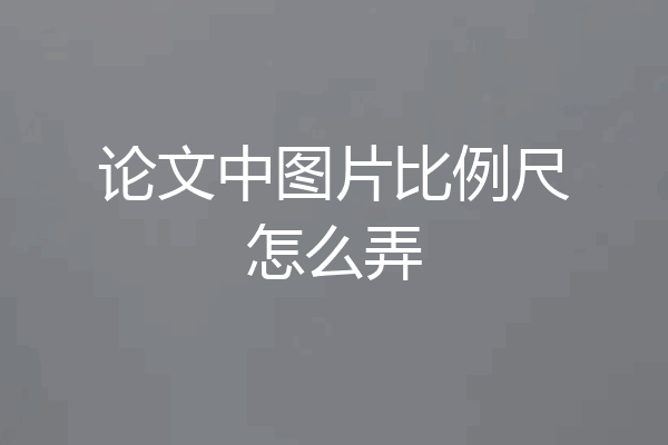 论文中图片比例尺怎么弄