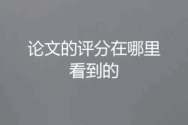 论文的评分在哪里看到的