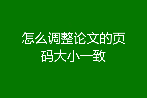 怎么调整论文的页码大小一致