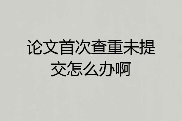 论文首次查重未提交怎么办啊