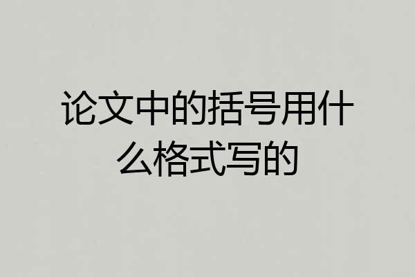 论文中的括号用什么格式写的