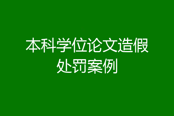 本科学位论文造假处罚案例
