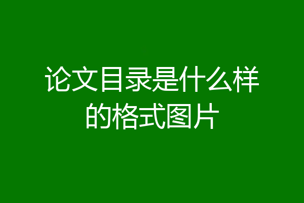 论文目录是什么样的格式图片