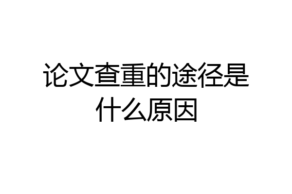论文查重的途径是什么原因