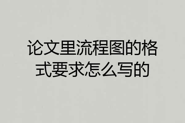 论文里流程图的格式要求怎么写的