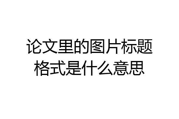 论文里的图片标题格式是什么意思