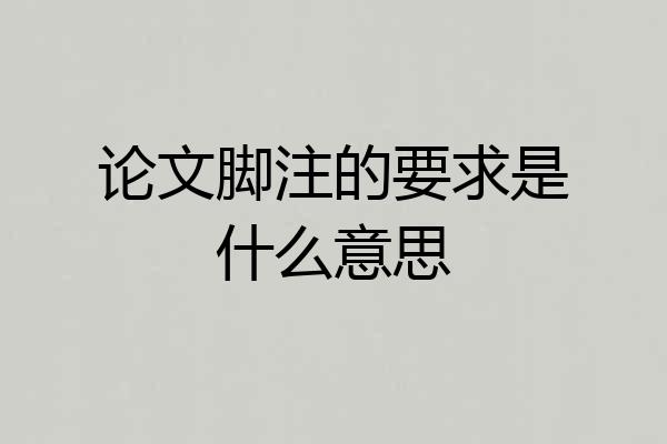 论文脚注的要求是什么意思