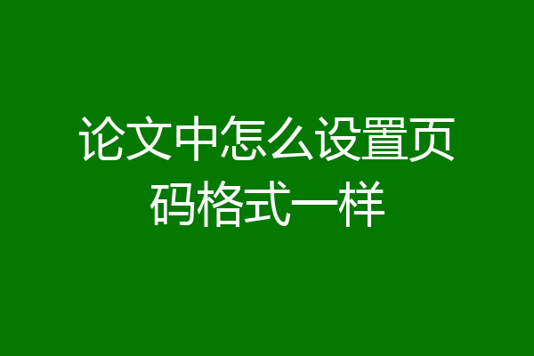 论文中怎么设置页码格式一样