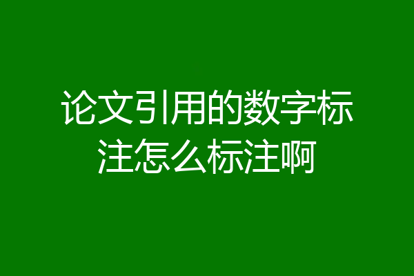 论文引用的数字标注怎么标注啊