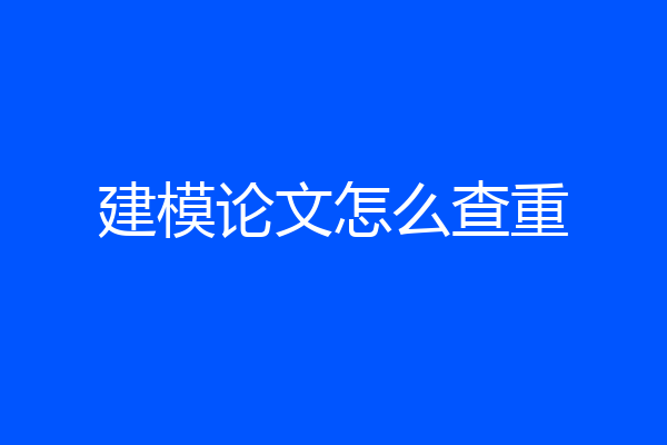 建模论文怎么查重