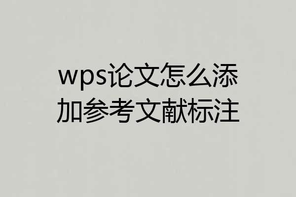 wps论文怎么添加参考文献标注