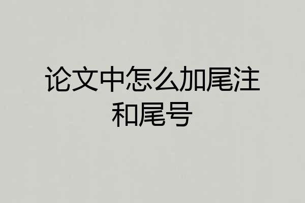 论文中怎么加尾注和尾号
