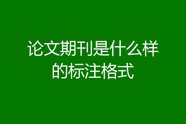 论文期刊是什么样的标注格式
