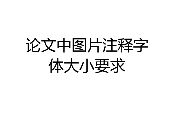 论文中图片注释字体大小要求