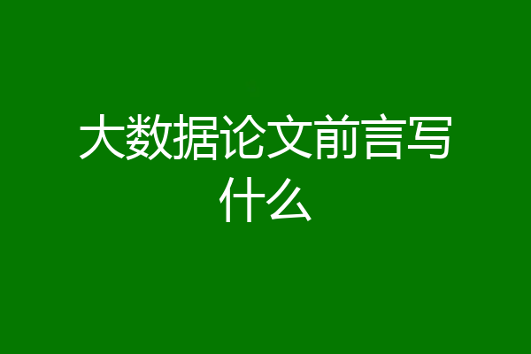 大数据论文前言写什么
