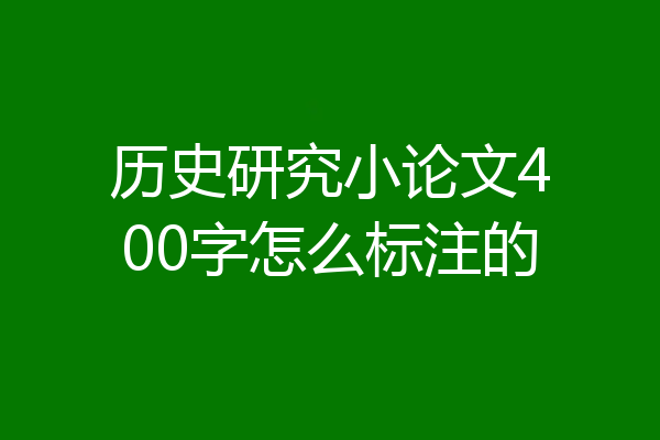 历史研究小论文400字怎么标注的