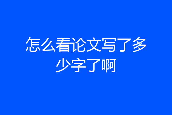 怎么看论文写了多少字了啊