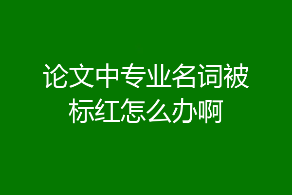 论文中专业名词被标红怎么办啊