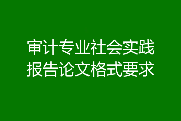 审计专业社会实践报告论文格式要求