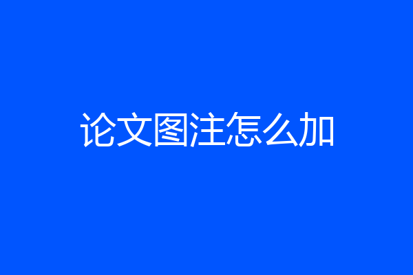 论文图注怎么加
