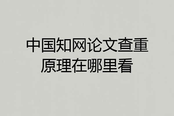 中国知网论文查重原理在哪里看